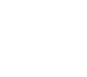Branding services icon