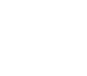 Shopify ecommerce platform icon