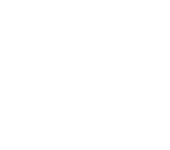 WordPress development platform icon